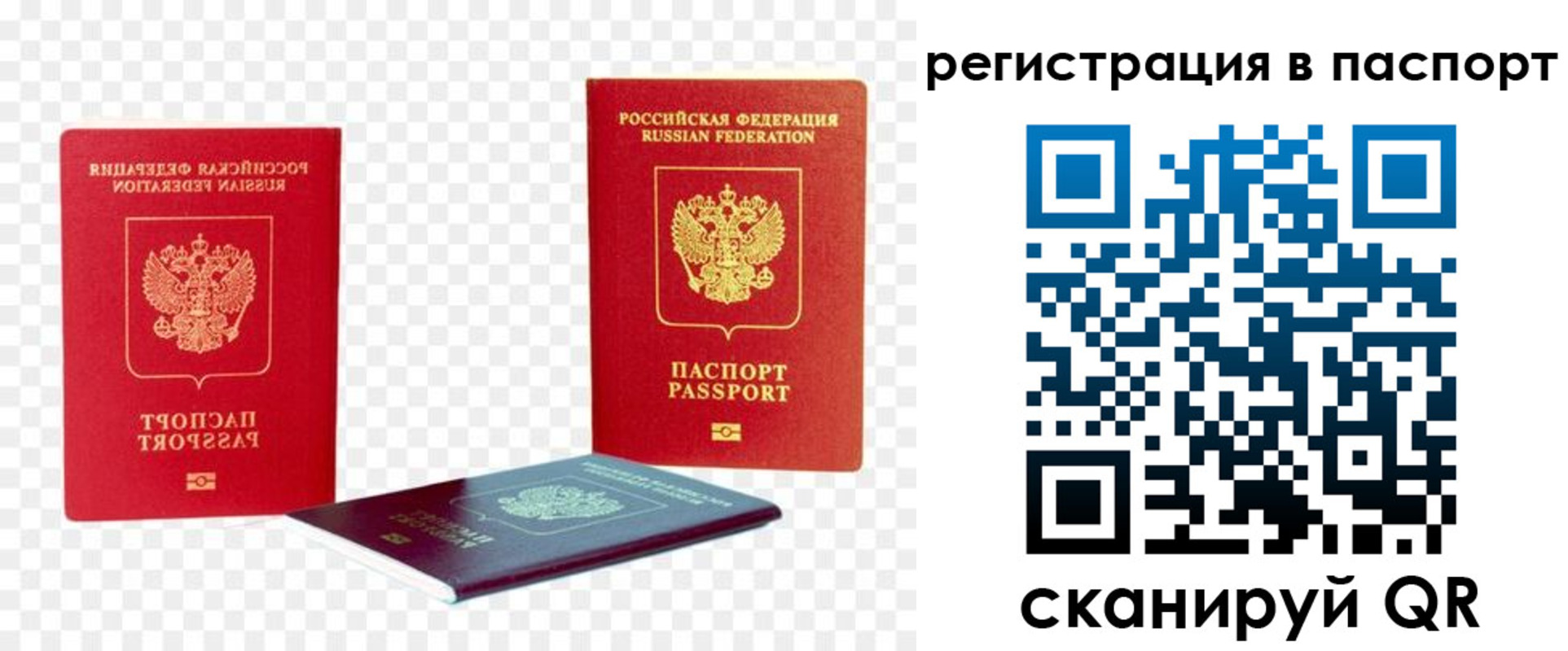 временная регистрация поиск в Благовещенске